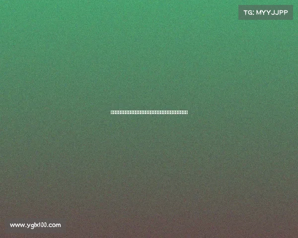 德甲裁判标准解析与实施细则：提升比赛公正性与竞技水平的关键因素